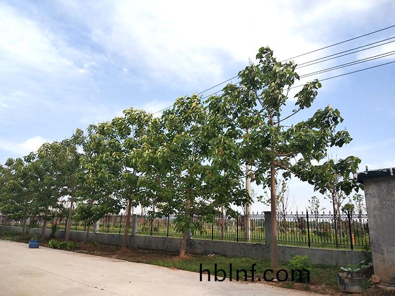 濟寧市大氣(qi)環(huan)境質量(liang)2015年(nian)12月份13縣(xian)市區排名(ming)