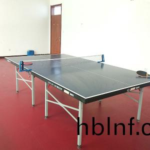 員(yuan)工娛(yu)樂活(huo)動(dong)室(shi)