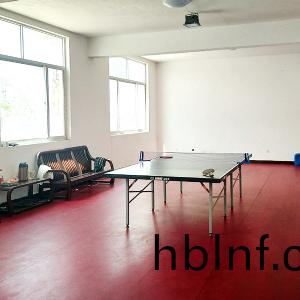 員(yuan)工娛樂活動室