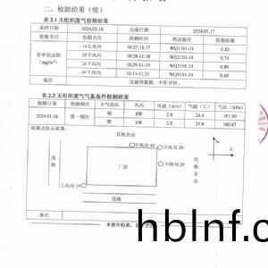 檢測報告(gao)（2024.05.30）