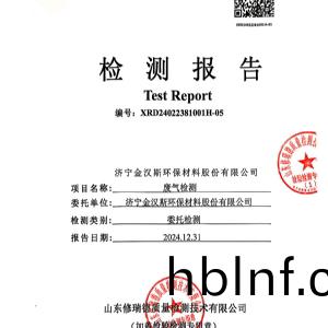 檢測(ce)報告(gao)（2024.12.31）