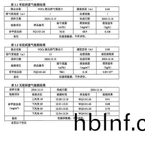 檢(jian)測(ce)報(bao)告(gao)（2024.12.31）