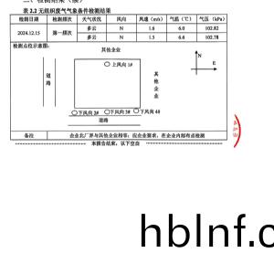 檢測報(bao)告（2024.12.31）