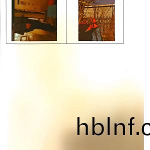 檢測報告(gao)（2024.12.31）